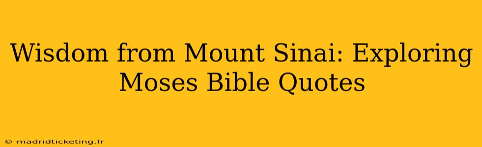 Wisdom from Mount Sinai: Exploring Moses Bible Quotes