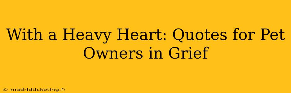 With a Heavy Heart: Quotes for Pet Owners in Grief