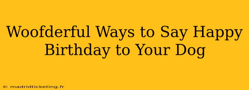 Woofderful Ways to Say Happy Birthday to Your Dog
