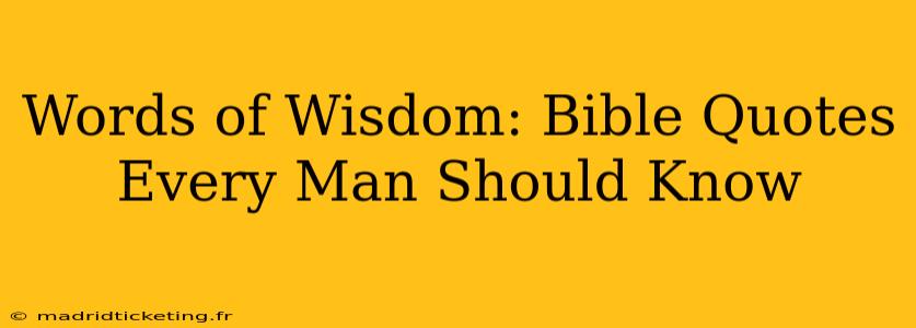 Words of Wisdom: Bible Quotes Every Man Should Know