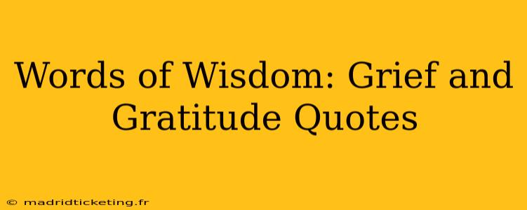 Words of Wisdom: Grief and Gratitude Quotes