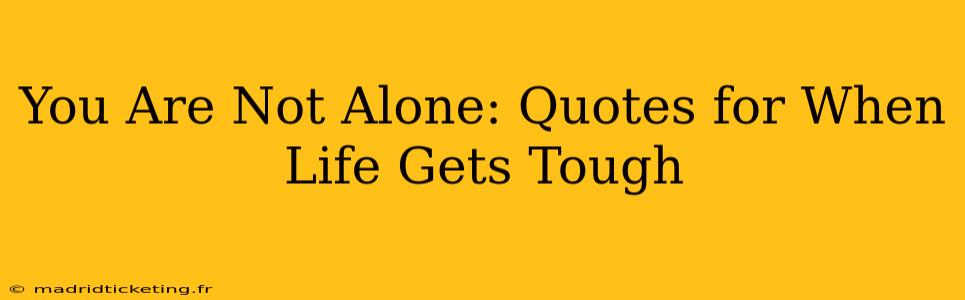 You Are Not Alone: Quotes for When Life Gets Tough