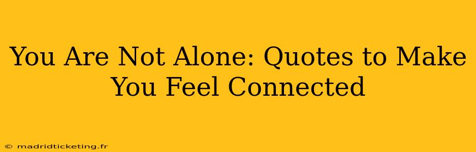 You Are Not Alone: Quotes to Make You Feel Connected