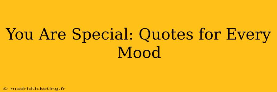 You Are Special: Quotes for Every Mood